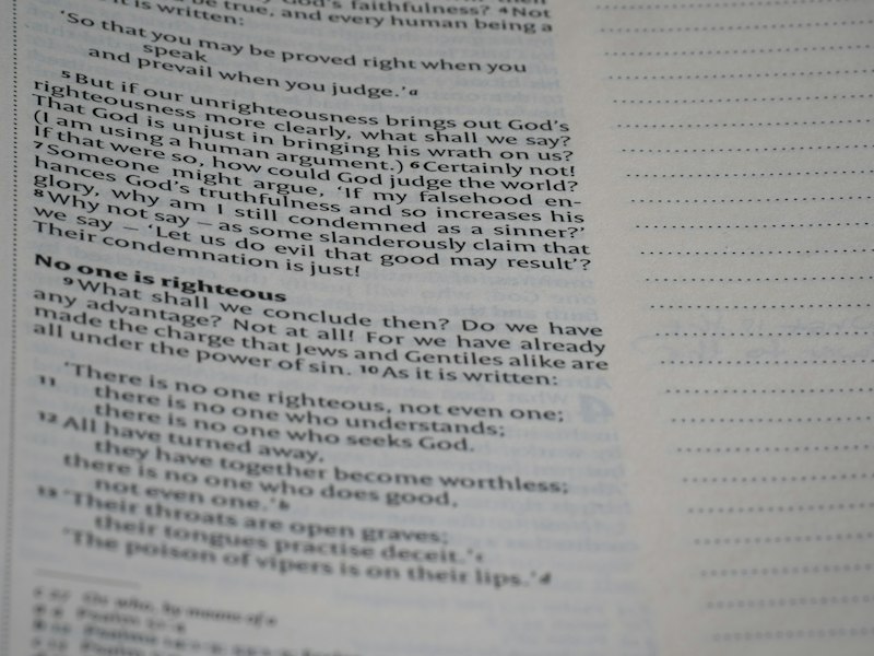 Case Alternation: How Grammar Rewires Your Mental Map