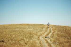 Catamnesis: Tracking Your Path to Lasting Recovery