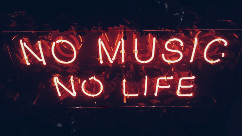 Congenital Amusia: Why Music Sounds Like Noise