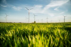 Conservation Withdrawal: Master Your Energy Reserves
