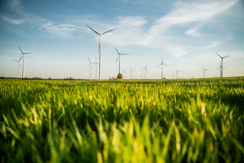 Conservation Withdrawal: Master Your Energy Reserves