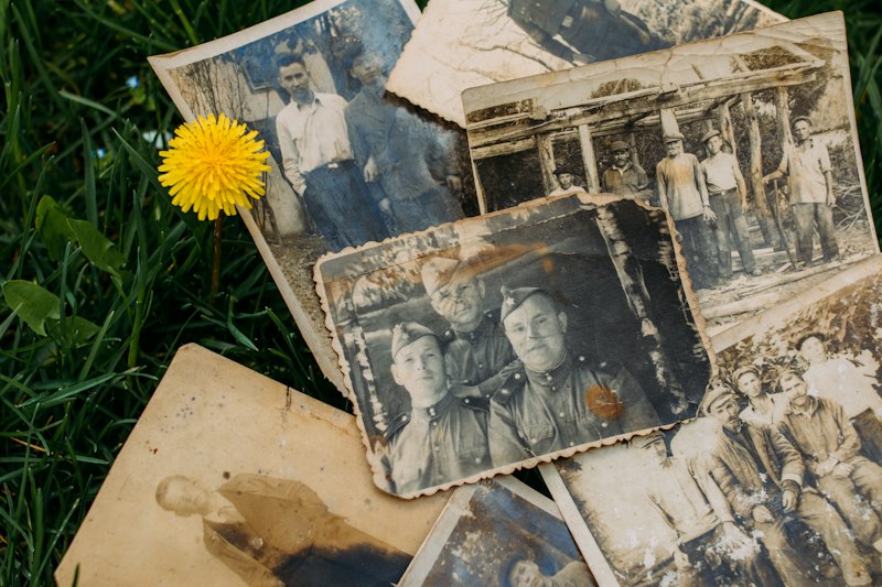 Descent Groups: How Your Ancestry Shapes Your Identity