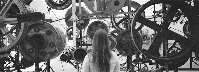 Developmental Cycles: Decoding Life's Hidden Patterns