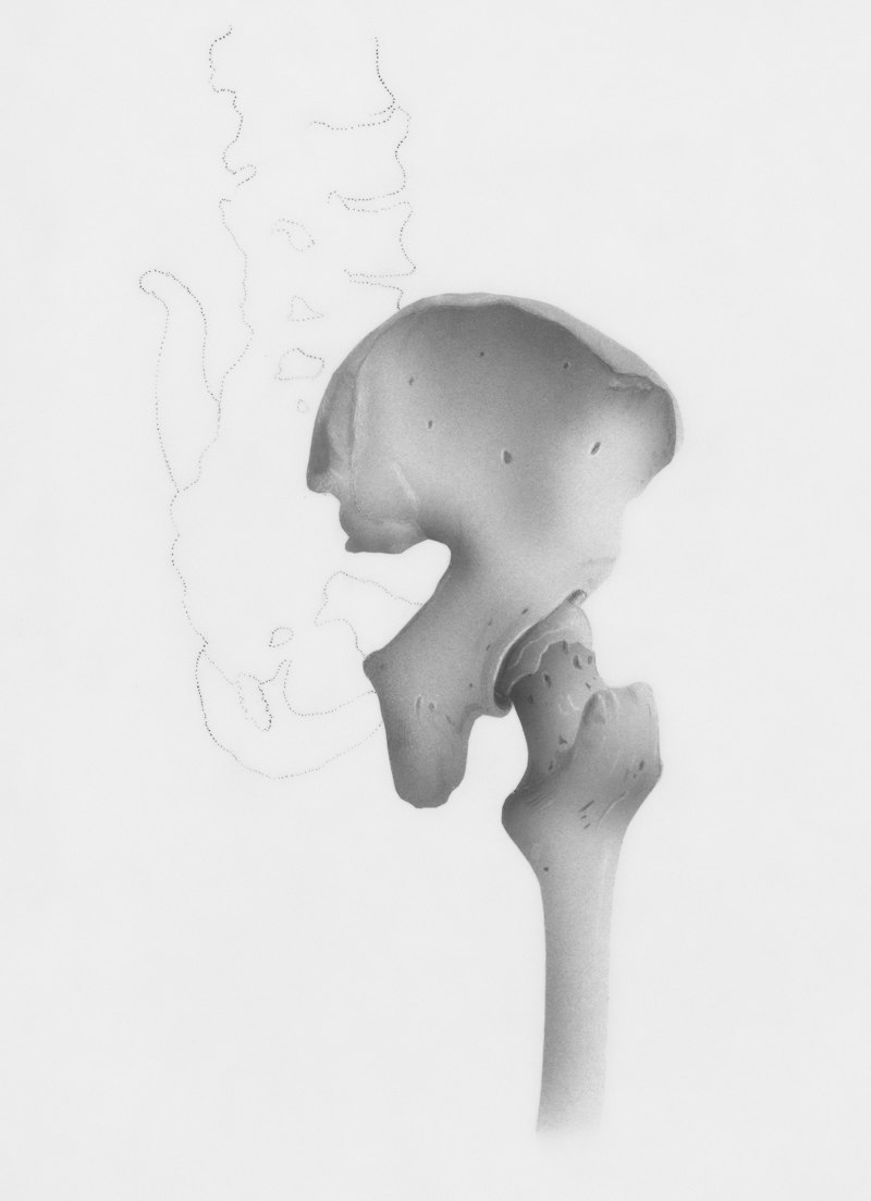 Developmental Growth: Decoding Maturity Through Bone Age