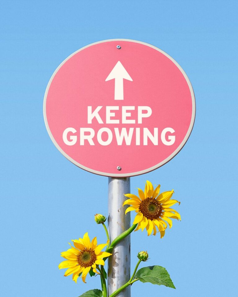 Developmental Growth: Mastering the Chaos of Change