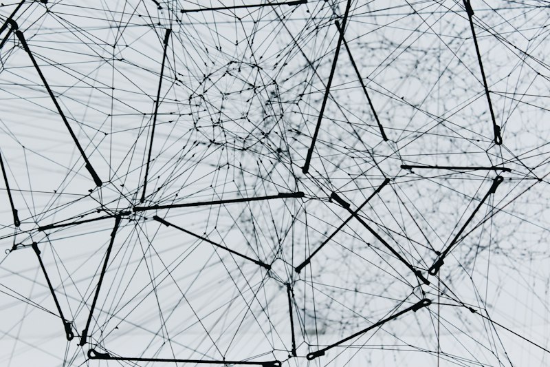 Discriminant Dispersion: Mapping Complex Human Patterns