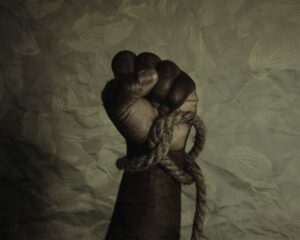 Dominance Aggression: Decoding the Power Behind Behavior