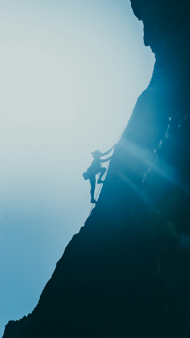 Dual-Career Dynamics: Thriving in Your Professional Life