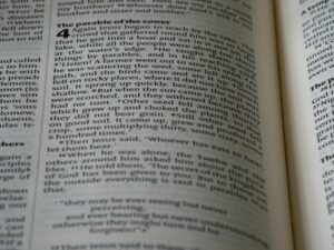 Echolalia: The Hidden Science of Mirroring Speech