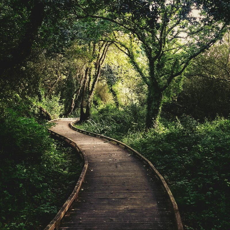 Eclectic Psychotherapy: A Personalized Path to Healing