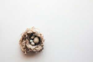 Empty Nest Syndrome: Rediscovering Purpose After Parenthood