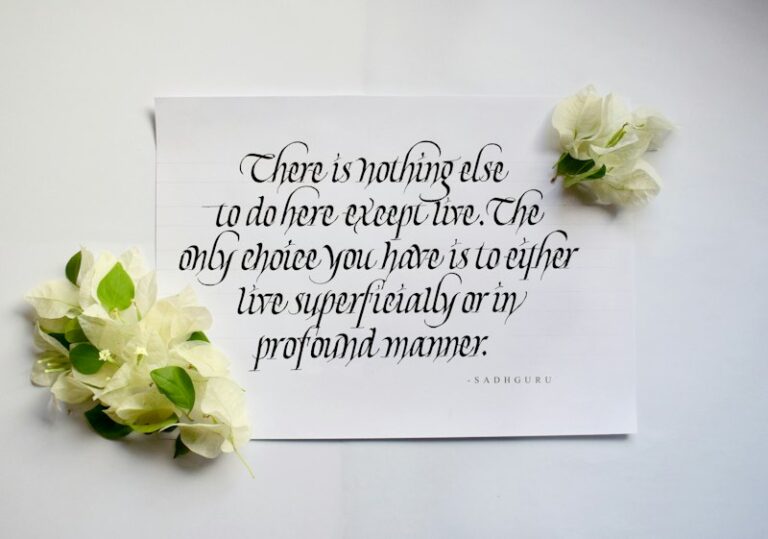 End-of-Life Psychology: Navigating the Final Choice