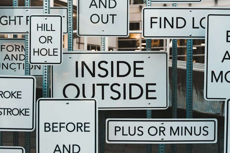 Endogenous Cues: How Your Inner Signals Drive Choices