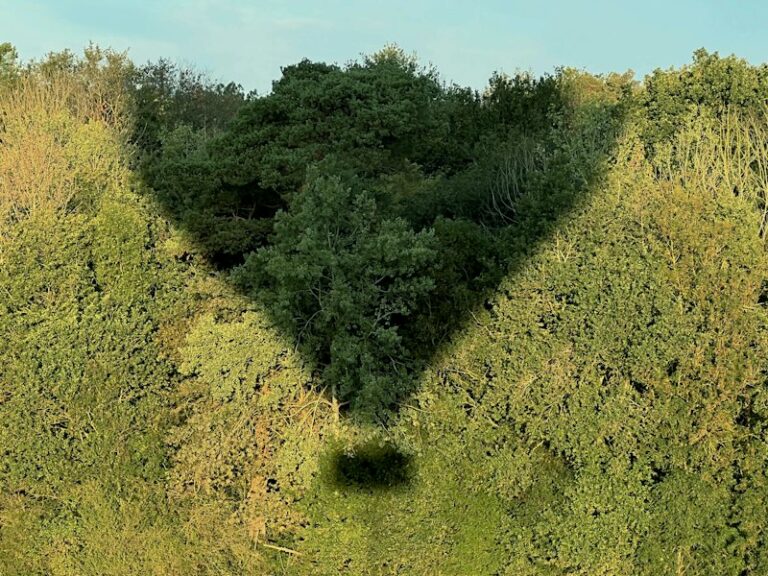 Environmental Adaptation: How Your Setting Shapes You