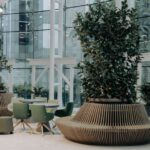 Environmental Psychology: Designing Spaces for Well-being