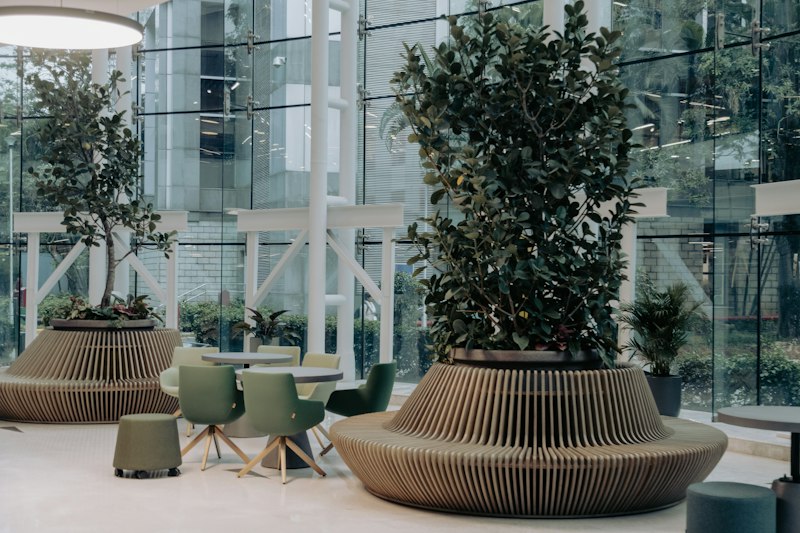 Environmental Psychology: Designing Spaces for Well-being