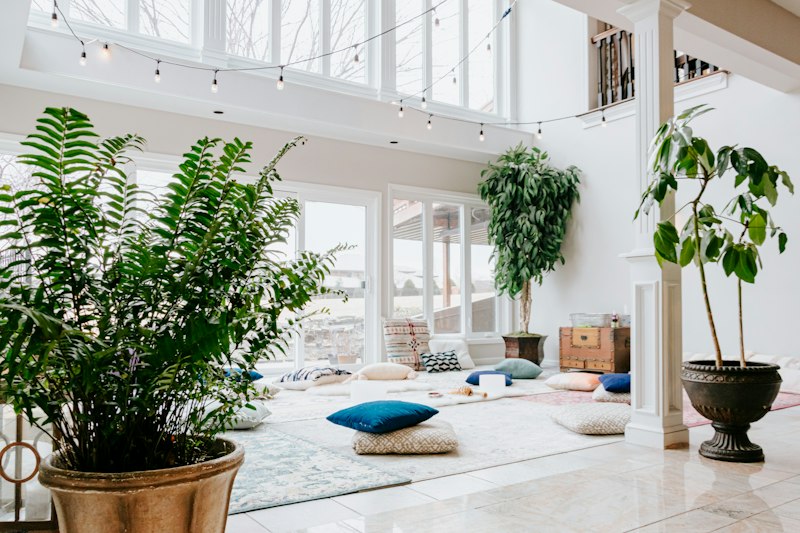 Environmental Psychology: Designing Spaces for Wellness