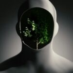 Environmental Psychology: How Your Space Shapes Your Mind