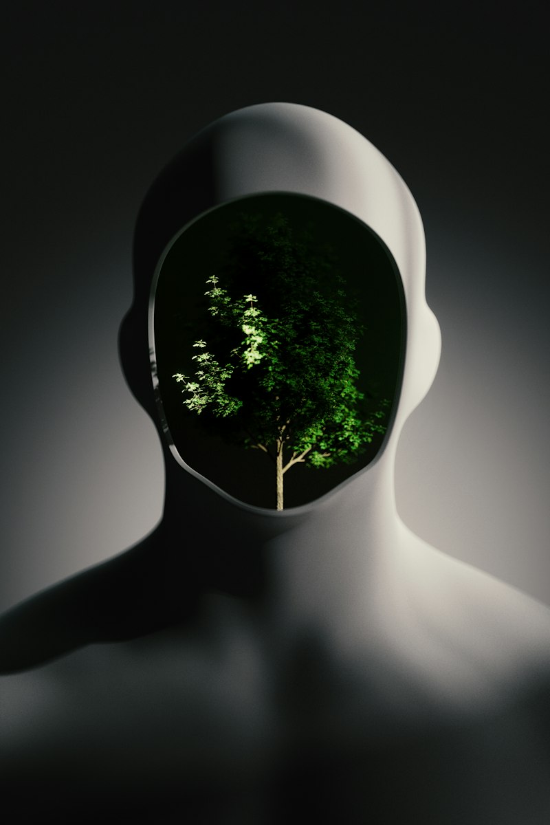 Environmental Psychology: How Your Space Shapes Your Mind