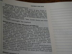 Erikson’s Stages: Mastering Life’s Eight Crucial Crises