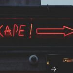 Escape Behavior: The Psychology of Survival