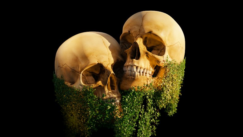 Evolutionary Psychology: Why Nature Favors the Strongest