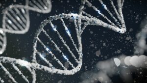 Genetic Prepotency: The Hidden Blueprint of Your Personality