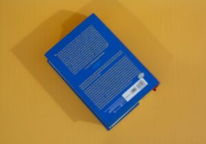 Giftedness: Unlocking the Lifelong Secrets of Genius