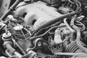 Hemiparesis: Decoding the Mechanics of Motor Control
