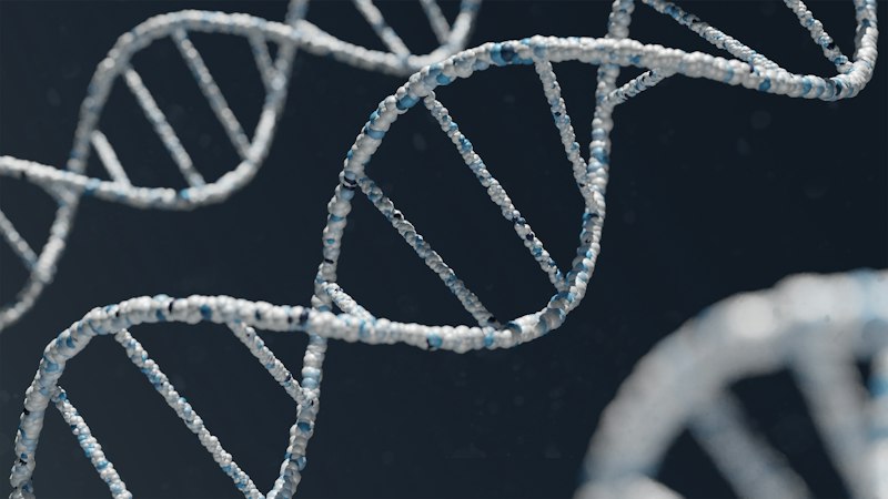 Job-Component Method: Decoding the DNA of Your Career