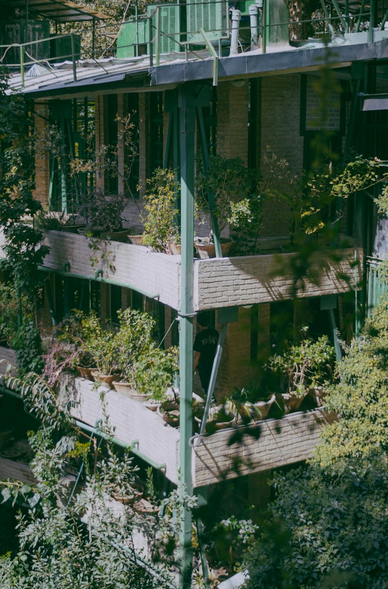 Long-Term Care: Nurturing Minds in Residential Spaces