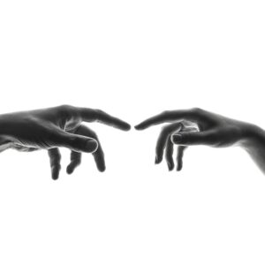 Mechanoreception: How Physical Touch Defines Reality