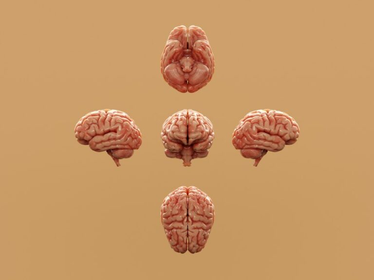 Memory Science: How Ebbinghaus Unlocked the Mind