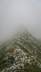 Mental Lethargy: Break Free from the Persistent Fog