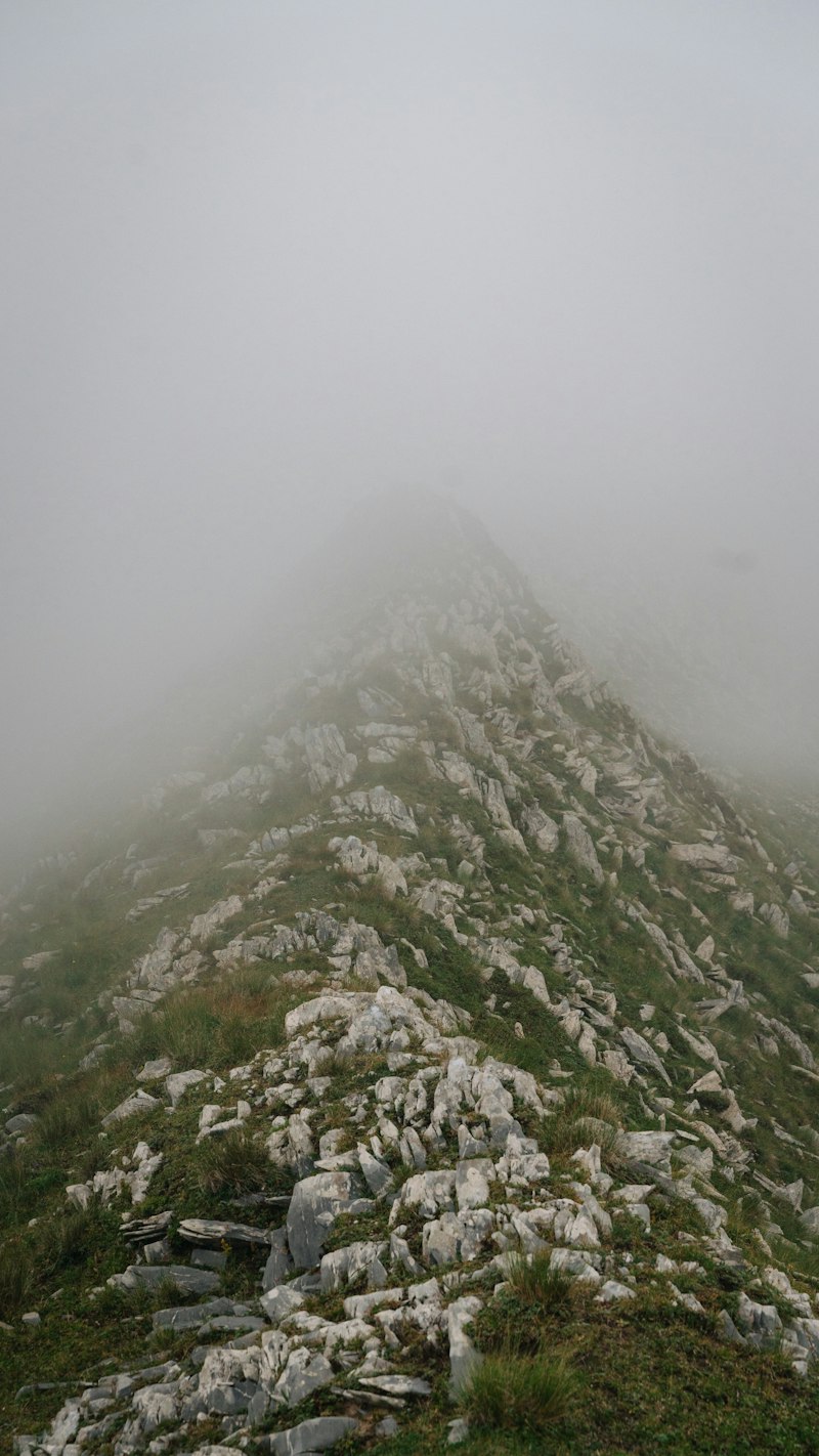 Mental Lethargy: Break Free from the Persistent Fog