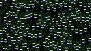 Micro-Perception: Decoding the Hidden Patterns of Reality
