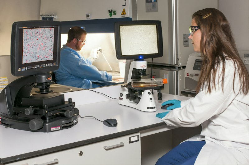 Microergonomics: Optimize Your Daily Workflow