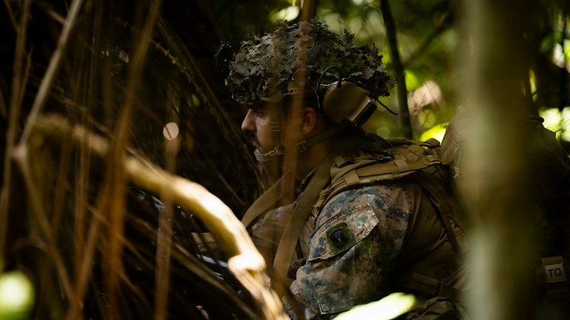 Military Psychology: The Hidden Cost of Duty and Sacrifice