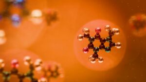 Mineralocorticoids: The Hidden Chemistry of Stress
