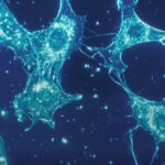 Molecular Mimicry: Biological Hijackers of the Mind