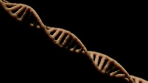 MPS I: The Hidden Emotional Weight of Rare Genetic Disease