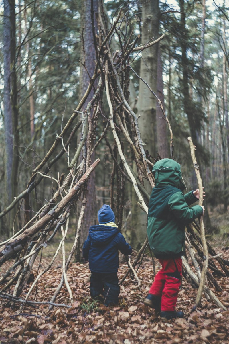 Outdoor Education: Nature’s Path to Mental Clarity