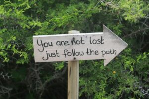 Patient Autonomy: Your Power to Choose Your Healing Path