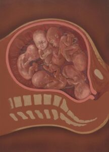 Prenatal Psychology: Shaping the Roots of Early Development