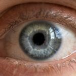 Primary Line of Sight: How Your Gaze Shapes Reality
