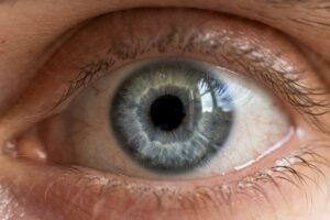 Primary Line of Sight: How Your Gaze Shapes Reality