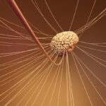 Projection Fibers: The Brain's Hidden Neural Highways