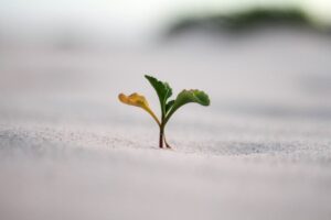 Pseudoachondroplasia: Cultivating Resilience in Growth