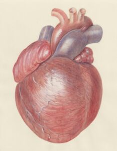 Psychogenic Heart Symptoms: When Stress Mimics Disease