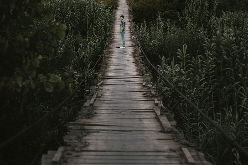 Psychosomatics: Bridge the Mind-Body Gap